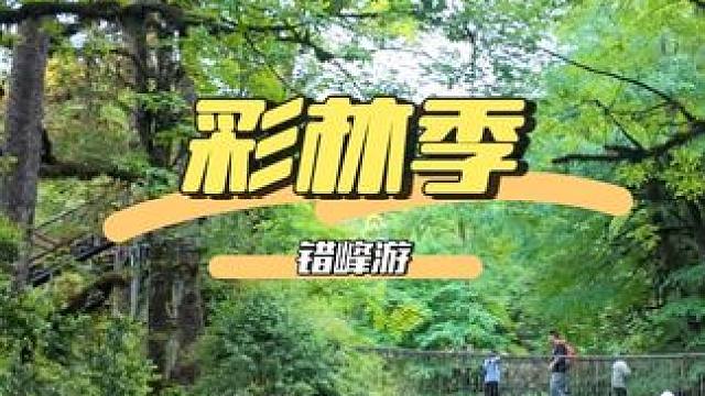 周末错峰游，来龙苍沟赏彩林漫山吧～#彩林季#成都周边游#秋日出逃指南#很哇塞的周末