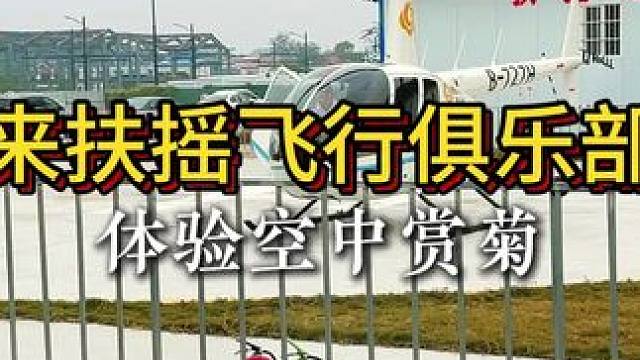 空中赏菊 一点都不堵 太好玩了，家人们#直升机体验 #开封菊花文化节 #开封旅游