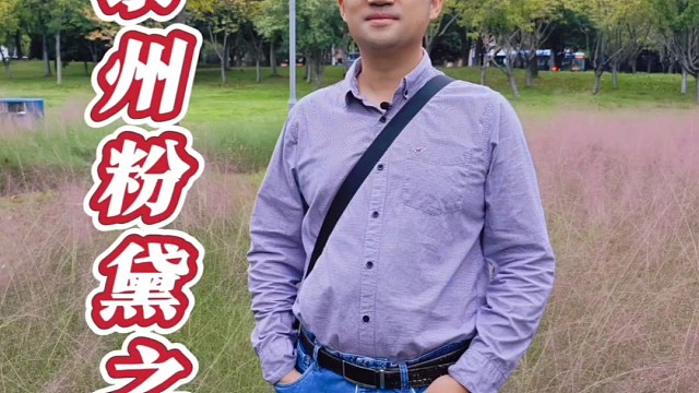 泰州凤凰曦城体育公园，这里的粉黛乱子草开了，非常适合拍照打卡