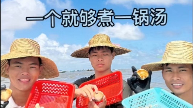 如果生活不如意，那咱们一起赶海捡花甲