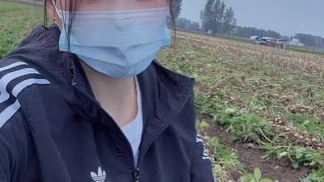 这也，太费闺女了
不如我发位置，你来偷吧撂挑子了#花生 #回村后的我 #助农 #农村生活