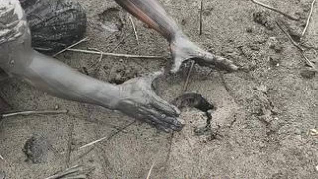 拳头这么大的鳝鱼浆洞你们见过吗？没想到最后抓到一条大斤货，太意外了！！#户外 #我的乡村生活