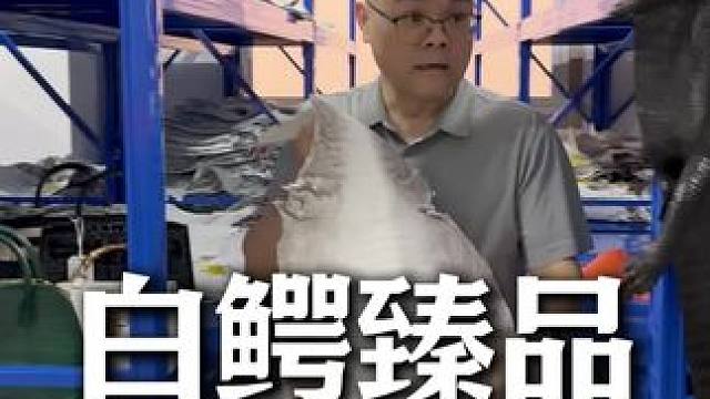 鳄鱼女包福利等你来，每一款都是经典福利！能