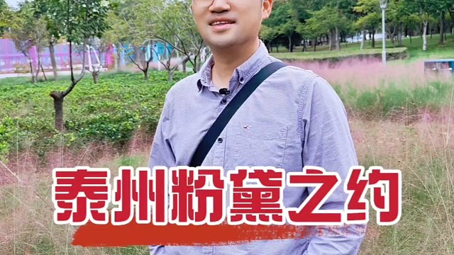 泰州秋日限定浪漫！凤凰曦城粉黛如海 藏着凤城千年的温柔诗意