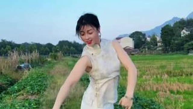 杨柳湾，草青黄，谷归仓；蓝天蓝，雁影在，人还乡！