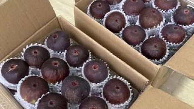 这个水果女生必吃！保护我们女性的小房子血满满的黄体酮 软糯香甜，颗颗流蜜真的爆炸米好吃！#快来一起尝