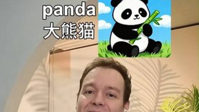 新版英语三年级上册 Unit 3词汇