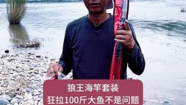 狼王溯极长节杆远投竿大物海钓巨物竿抛竿鲢鳙超硬碳素锚鱼竿甩杆 狼王溯极长节杆远投竿大物海钓巨物竿抛竿