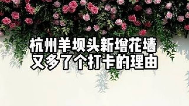 杭州羊坝头，多了一面好看的花墙，这个地方因为一栋百年老楼，成了杭州最火的打卡点，现在附近还多了不少有