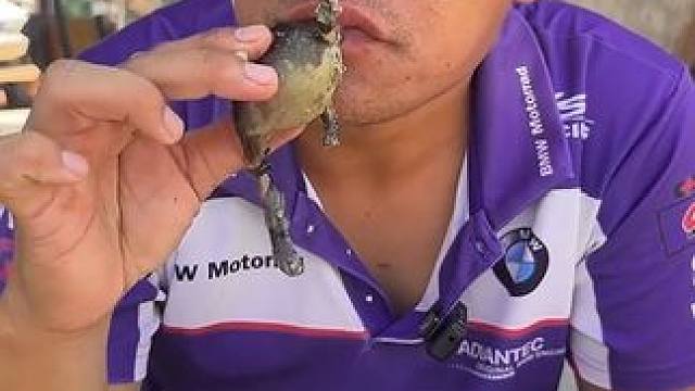 蛙籽是真好吃 #美食 #泰国美食 #美食 #户外美食 #内容启发搜索