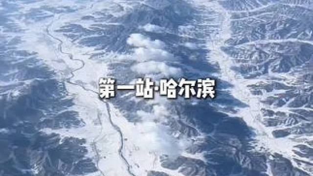 冬天都给我去哈尔滨，2025 年都给我去哈尔滨#旅行推荐官#哈尔滨旅游 #哈尔滨旅游攻略 #哈尔滨旅