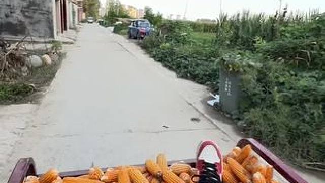 这车，走一路掉一路 俺爸熊我“白说话”到家了还赖我