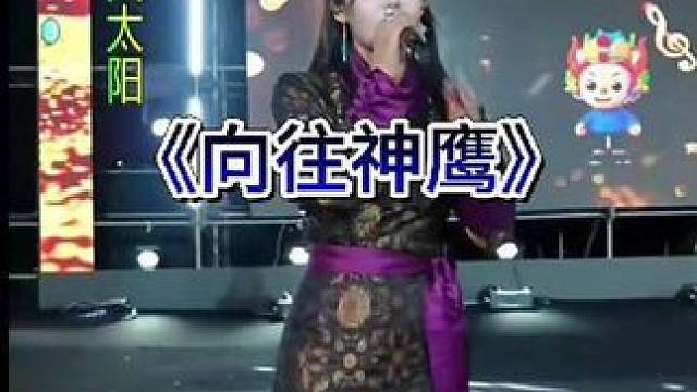 格玉青措《向往神鹰》。