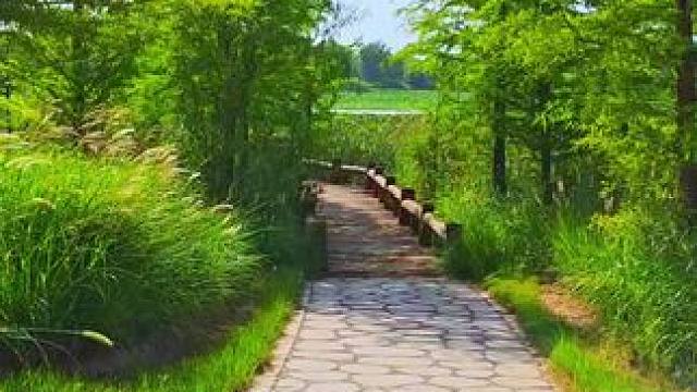 #风景如画的地方