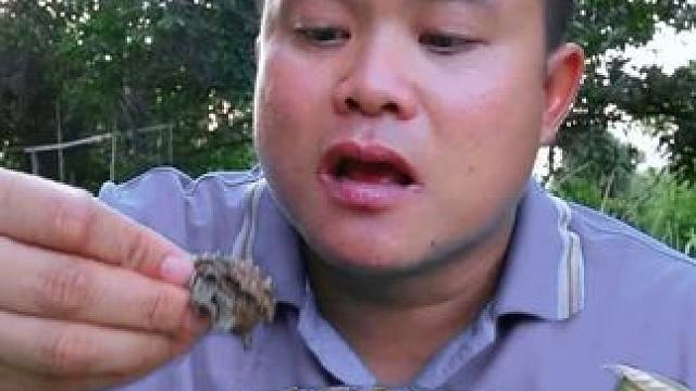 牛杂拼盘这样吃好过瘾 #泰国大叔#泰国美食#内容启发搜索#种草激励计划#全民任务