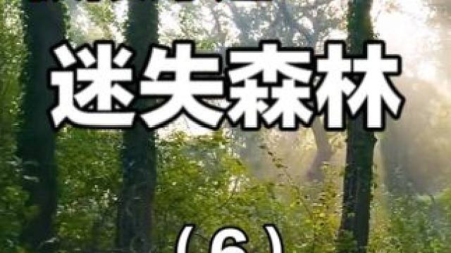 极限穿越迷失森林（6） 峡谷奇遇金丝楠，美味野餐汆肉丸 #