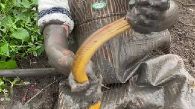 这么能跑的鳝鱼你们见过吗？跟着大洞挖了三四米远才抓到它，真大啊！！#户外 #我的乡村生活