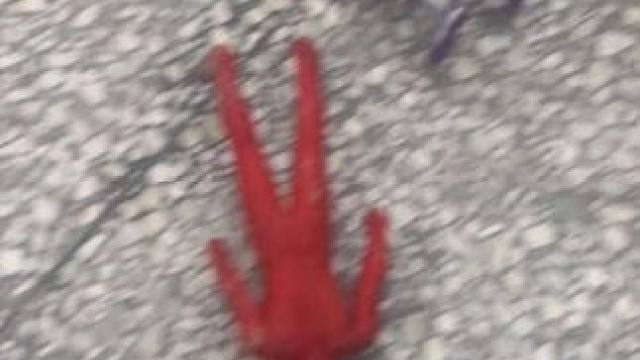 原来是打怪兽干的奥特曼玩具