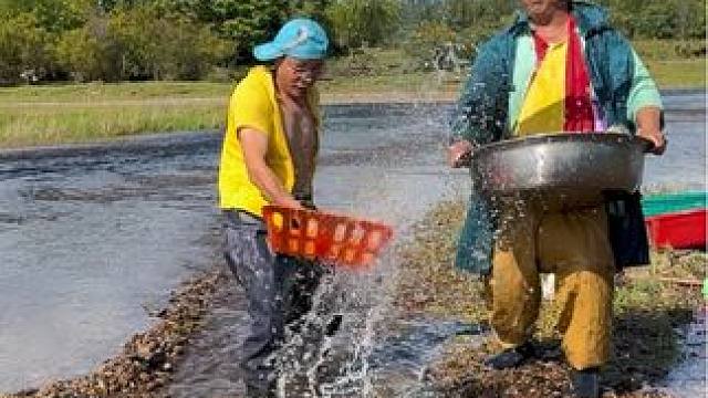 #捕鱼达人 #捉鱼