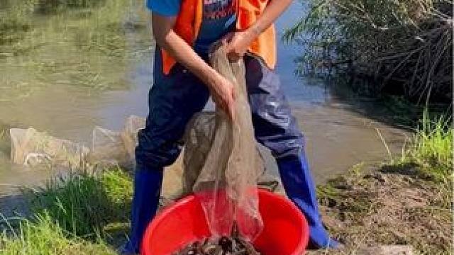 #户外抓鱼 #抓鳝鱼