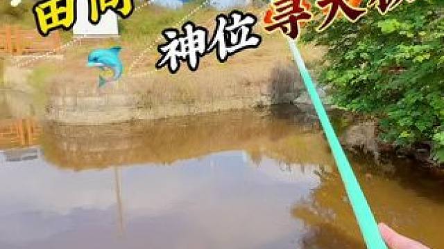 田间神位寻大板 #钓鱼#野钓#户外钓鱼#野河野钓#渔之源小蜻蜓二代