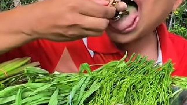 新鲜蔬菜酸辣料汁️凉拌小八爪 #美食 #美食 #户外美食 #泰国美食 #内容启发搜索