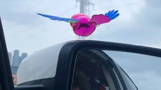 伴飞小鸟 伴飞小鸟 【翅膀会动】伴飞小鸟摩托车创意汽车装饰摆件车载小鸟电瓶车小挂饰 #