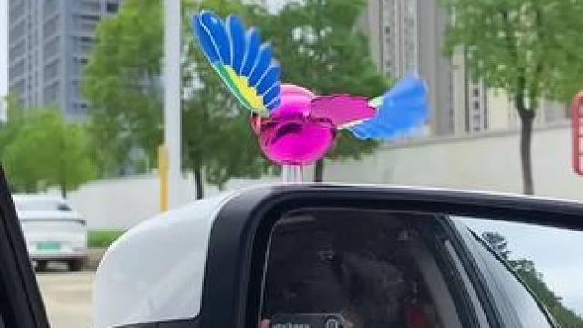 伴飞小鸟 【翅膀会动】 伴飞小鸟 【翅膀会动】伴飞小鸟摩托车创意汽车装饰摆件车载小鸟电瓶车小挂饰 #