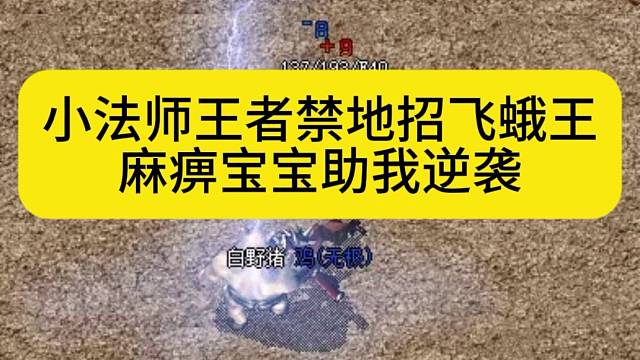 小法师王者禁地招飞蛾王，麻痹宝宝助我逆袭