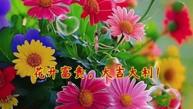 今晚休息 明早8点播，今晚休息！