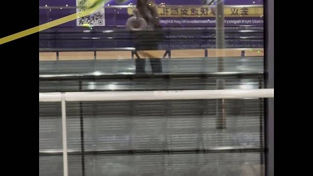出去玩！