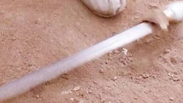 简直太精彩了！