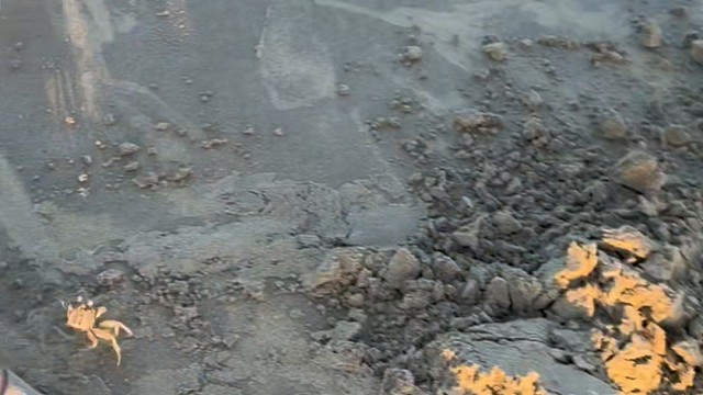 又是实现海鲜自由的一天