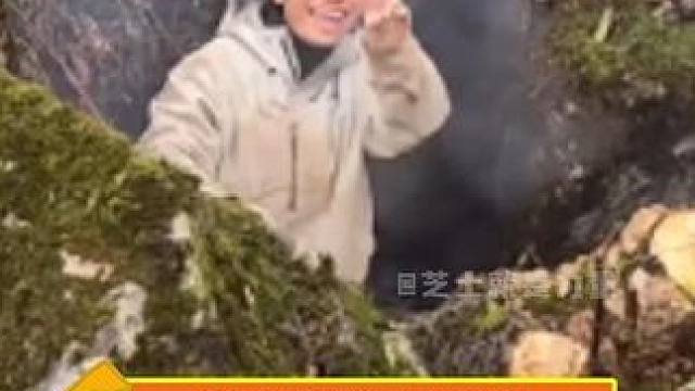 我就说弃医从什么都会成功吧 医学生：人生就是旷野#荒野求生 #七星山杯 #医学生 #内容过于真实 #