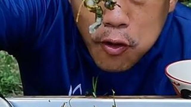 不是满籽的我不吃 #美食 #泰国美食 #户外美食 #美食 #内容启发搜索