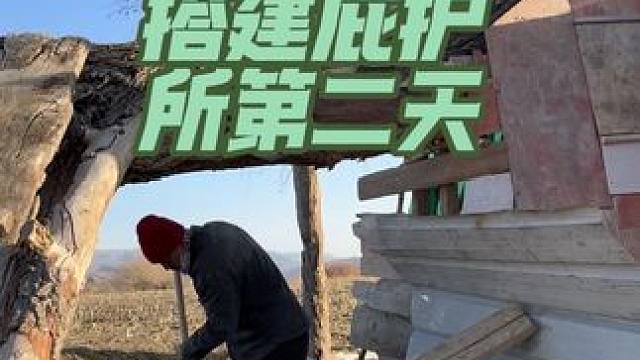 挑战新疆阿勒泰荒野搭建庇护所生存100天，第二天 #野外生存 #野外搭建#地窝子  #荒野建造 #荒