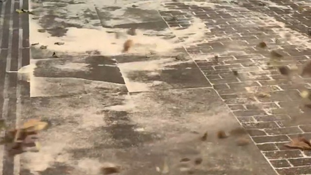 老板快来我听话