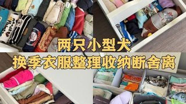 两只小型犬换季衣服整理收纳 一年整理两次，每次断舍离
#宠物衣服 #断舍离 #收纳整理 #解压 #收