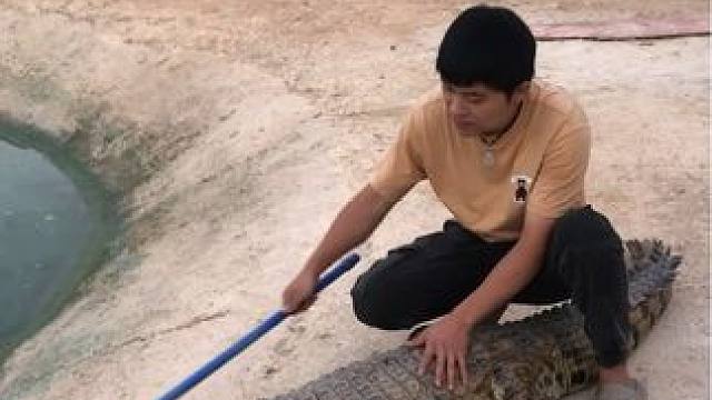 没事就喜欢找点刺激的#非专业人士请勿模仿