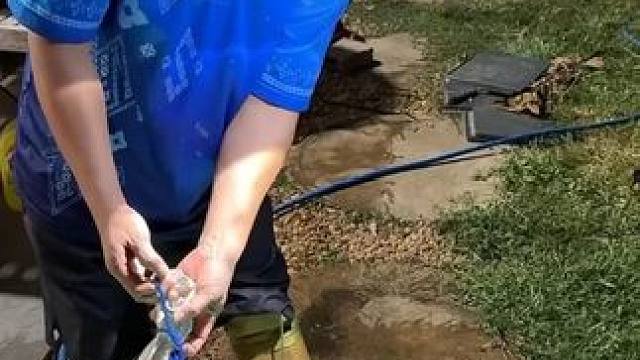 看我昨天半夜的收获 泰国美食