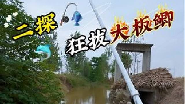 二探小水沟 鱼情果然没让我失望 #钓鱼#野河野钓#户外钓鱼#野钓#钓鱼人
