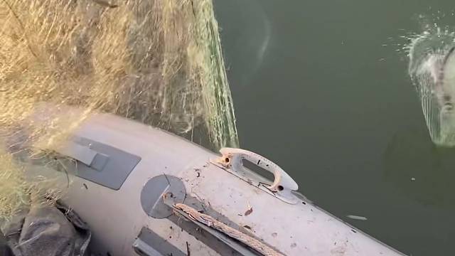 #户外捕鱼大队 #捕鱼河边随拍 #捕捞现场  #丝网捕鱼