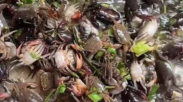 水槽里直接开拌