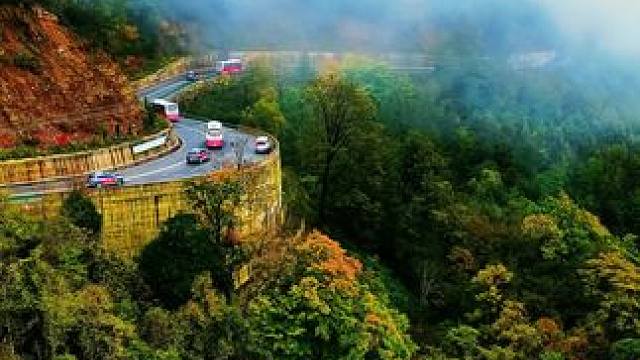 2025广元旺苍红叶季正式开幕啦！盐井峡秋天的第一杯“奶茶”来了，拍摄于10.22日雨雾中的光头山。