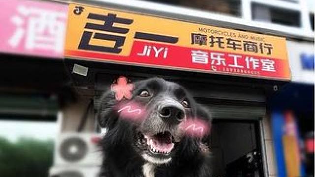 什么？机油黑了都舍不得换？闹麻了