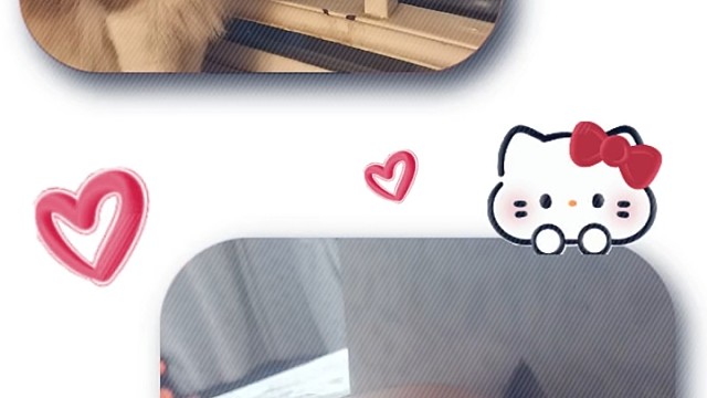 可能小猫也有心事吧