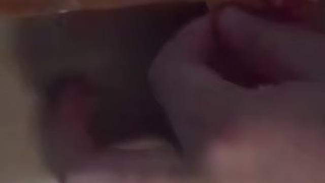 白化加州王开箱 #宠物蛇 #开箱