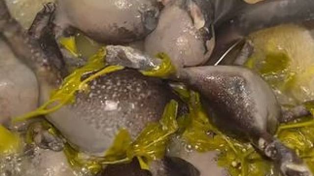 给自己做个夜宵吃