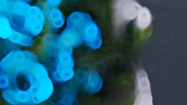 万事顺遂，平安喜乐