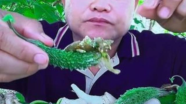 蒸海鱼茄子虾酱泰国小苦瓜 泰国美食